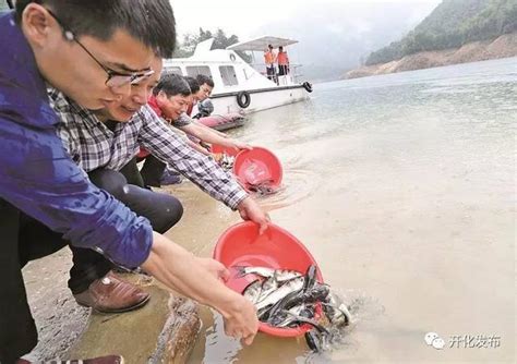 放魚|「全國放魚日」來了！港深兩地共護海洋生態 數百萬魚苗安家深。